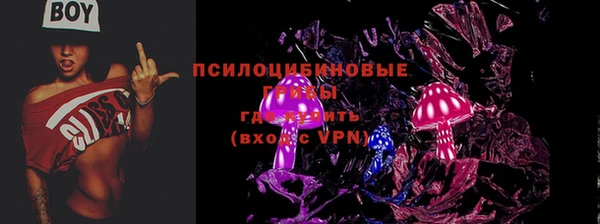 стаф Гусь-Хрустальный