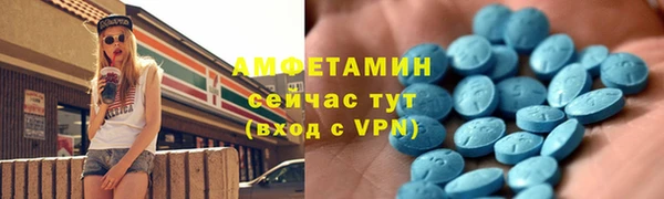 стаф Гусь-Хрустальный