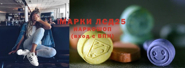 стаф Гусь-Хрустальный