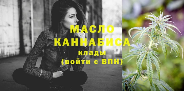 стаф Гусь-Хрустальный